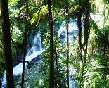 Lamington National Park Waterfalls