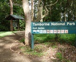 Tamborine Mountain National Park - Gold Coast places to visit