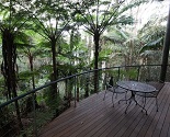 Pethers Rainforest Retreat Accommodation Balcony Views