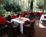 Songbirds Rainforest Retreat Multi Award Winning Restaurant