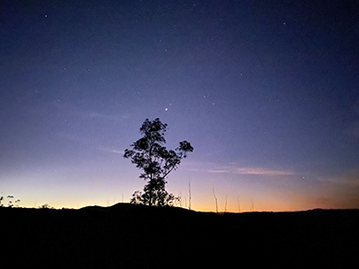 Wander with Hot Air Balloon Gold Coast 1
