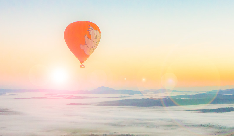 Morning colours as a hot air balloon flies