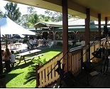 Bearded Dragon Hotel Mt Tamborine Tavern