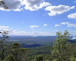 Tamborine Mountain National Park - Gold Coast Hinterland