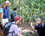Southern Cross 4WD Guided Hinterland Rainforest Tours