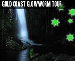 Southern Cross Four Wheel Drive GlowWorm Cave Tours
