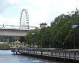 Brisbane River Views with Mirimar Day Cruises Brisbane River Views with Mirimar Day Cruises