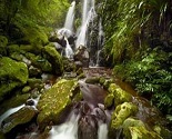 Rainforest Retreat OReillys Resort Tamborine Mountain 