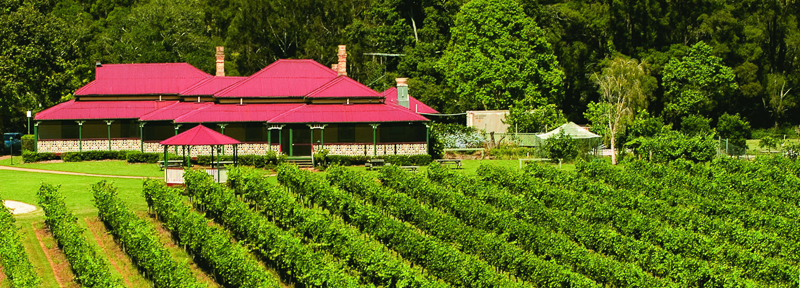 O Reillys Canungra Valley Vineyards Breakfast Hot Air Balloon Australia
