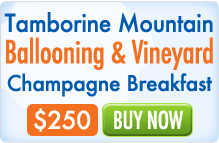 Tamborine Things to Do - Hot Air Ballooning then Southern Cross 4WD Tour Tamborine Things to Do - Hot Air Ballooning then Southern Cross 4WD Tour