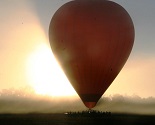 Hot Air Balloons at Sunrise