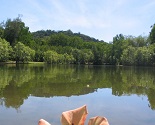 cairns-botanic-gardens-lake