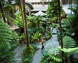 Holiday Inn Cairns Rainforest