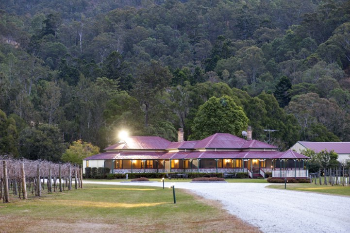 O'Reilly's Canungra Valley Vineyards