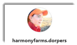 harmonyfarms.dorpers instagram account