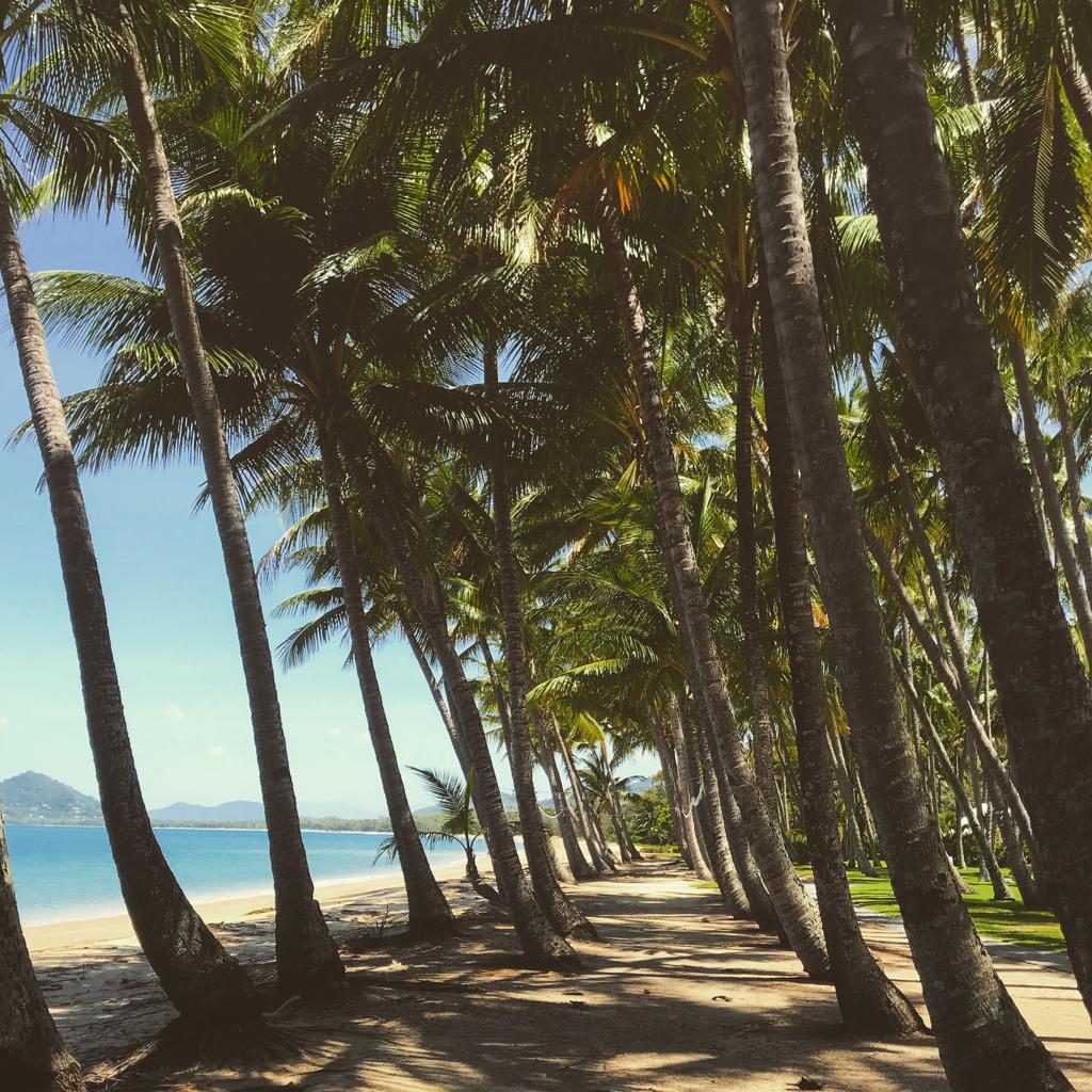 Palm Cove Mothers day