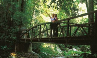 Springbrook National Park