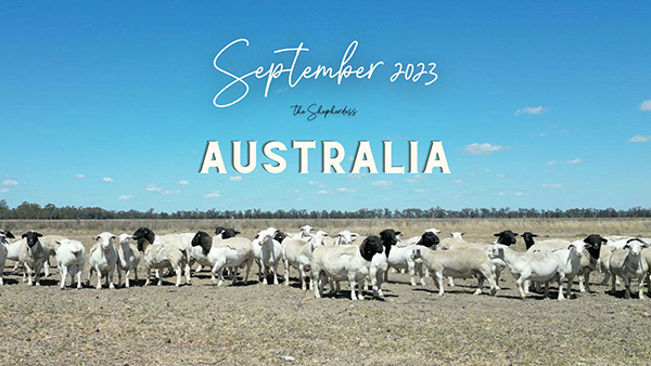 the Shepherdess visits Australia