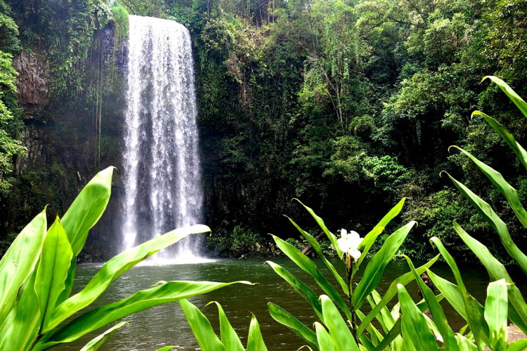 waterfalls and rainforests tour