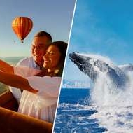 Hot Air Balloon Gold Coast Sea World Cruises Whale Watching