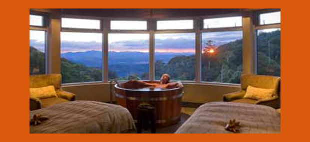 OReillys-Rainforest-Retreat-Lamington-National-Park-Accommodation.png