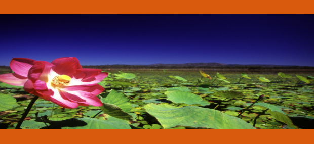 Jabiru Safari Eco Lodge Mareeba Australia