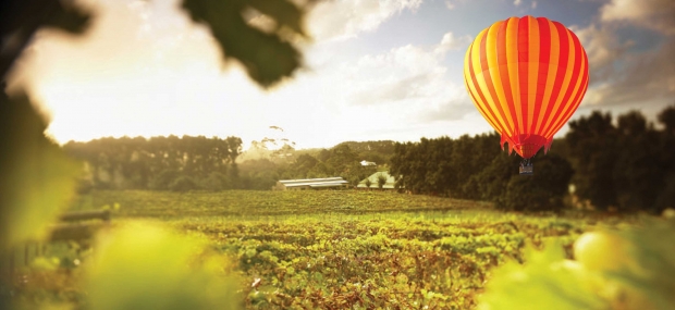 Scenic-Rim-locals Scenic-Rim-couples