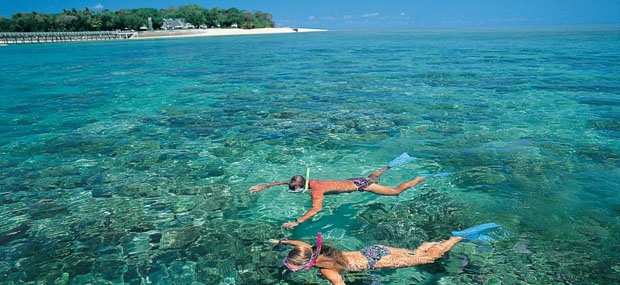 Snorkel Green Island