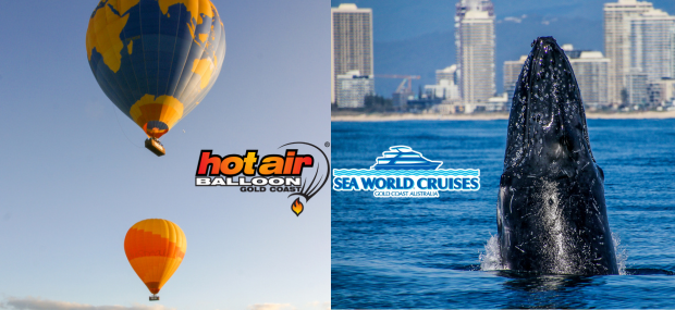 Seaworld whale watching with hot air ballooning