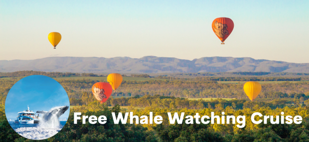 Free whale watching with hot air ballooning