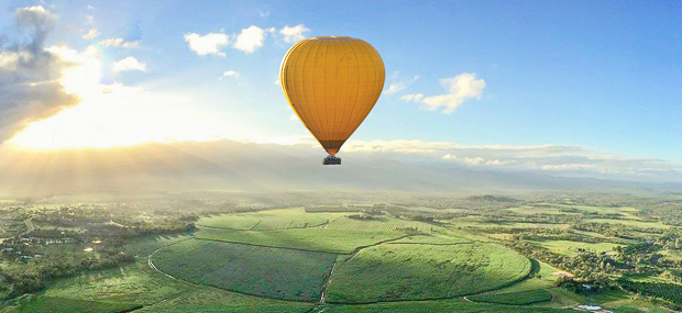 Yellow hot air balloon soaring above the Mareeba Atherton Tablelands at sunrise Cairns Australia