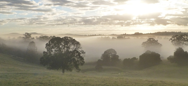 Lillydale-Farmstay-Accommodation.png