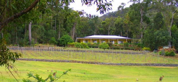 Wallaby-Ridge-Retreat-Gold-Coast-Scenic-Rim-Accommodation.png