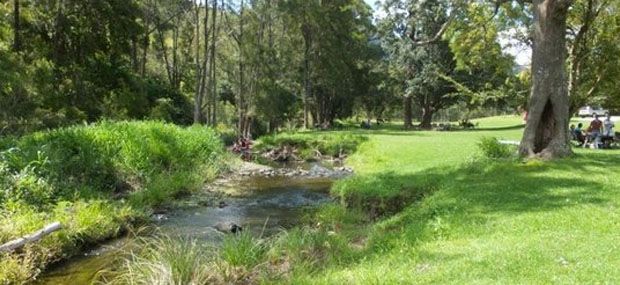 OReillys-Vineyard-Creek-Views-Platypus-Spotting