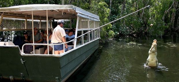 Hartleys-Crocodile-Adventures-Palm-Cove-Day-Tour