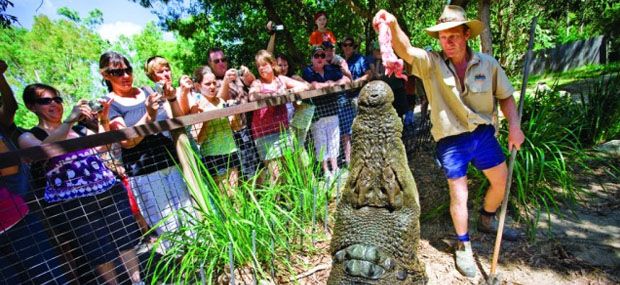 Hartleys Crocodile Adventures Day Tour