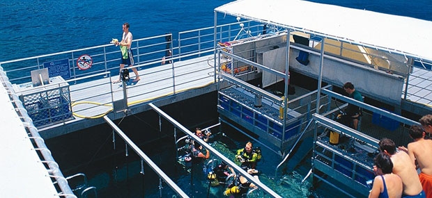 quicksilver reef shoes