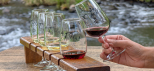 Wine tasting at O'Reilly's Canungra Valley Vineyards