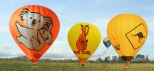Ballooning with Hot Air Cairns Port Douglas Koala and Kangaroo Balloons wedding