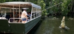 Hartleys-Crocodile-Adventures-Palm-Cove-Day-Tour
