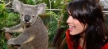 kangaroo-feeding-kuranda-koala-gardens