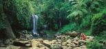Natural-Arch-Waterfalls-Gold-Coast-Day-Tours-Gold-Coast-Attractions