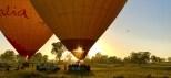 Ballooning-with-Hot-Air-Cairns-&-Port-Douglas-Sunrise-Inflation