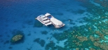 Great Adventures - Great Barrier Reef Tours from Cairns