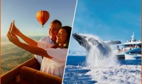 Hot Air Balloon Gold Coast Sea World Cruises Whale Watching