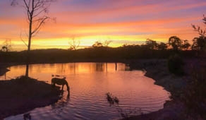 Sunset over a dam at a Koah farmstay near Mareeba