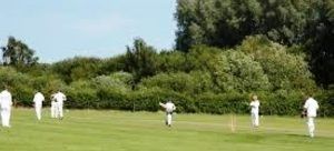 Brisbane Cricket